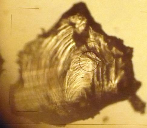 Mikroskopski snimak uzorka